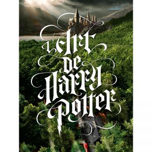 Accessoire Officiel Harry Potter Coupe de Quidditch - Balai